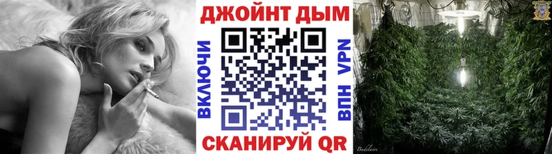 Марихуана сатива  дарк нет телеграм  Апрелевка 